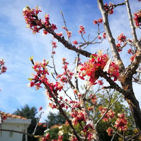 Dianostellamarina Appartamento *