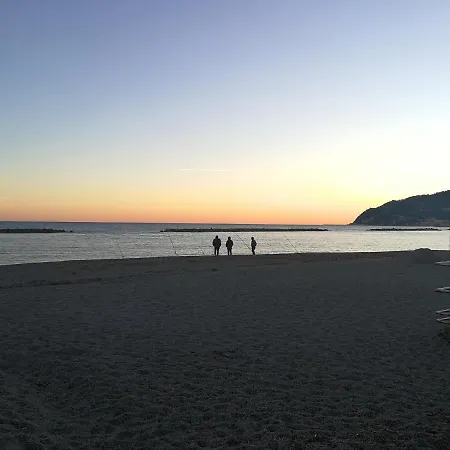 Dianostellamarina