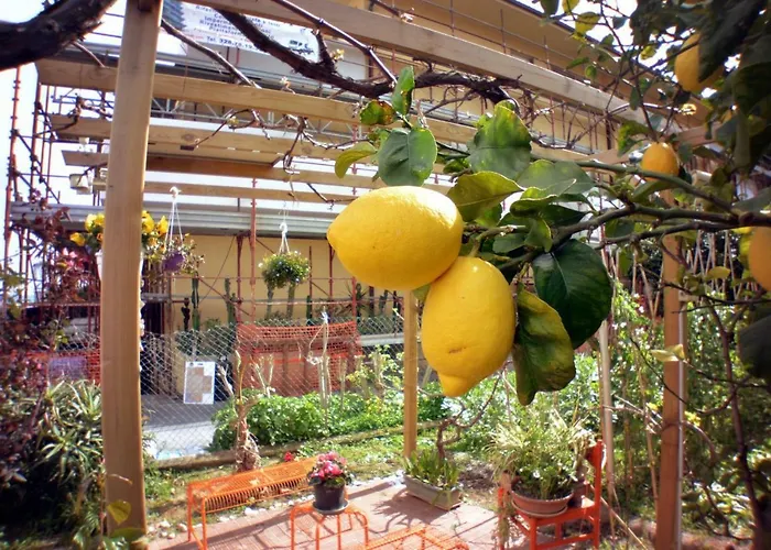 Dianostellamarina * Diano Marina